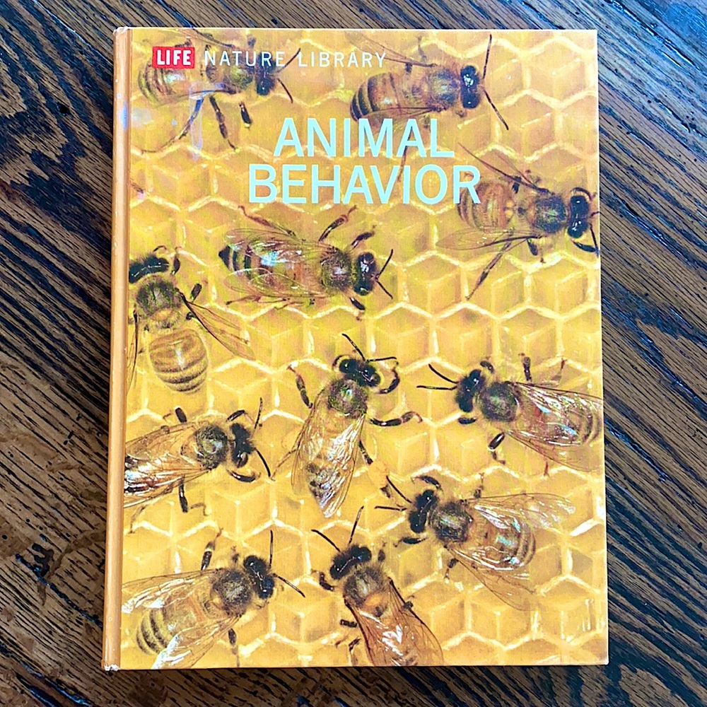 1965🐝LIFE COFFEE TABLE BOOK • VINTAGE • ANTIQUE